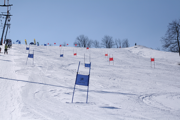 Mistrzostwa AWF Wrocław w narciarstwie alpejskim i snowboardzie 2010 oraz XXIV Memoriał im. Bronisława Haczkiewicza za nami!